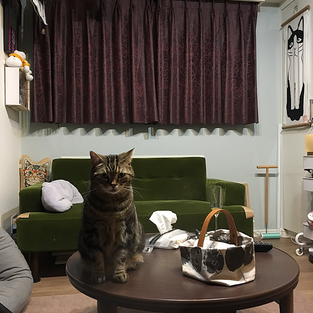 mikomaruさんの実例写真