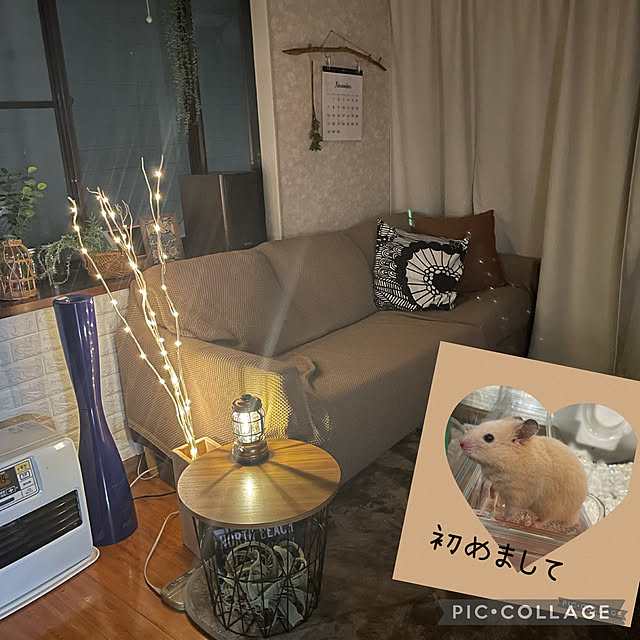 izuさんの実例写真