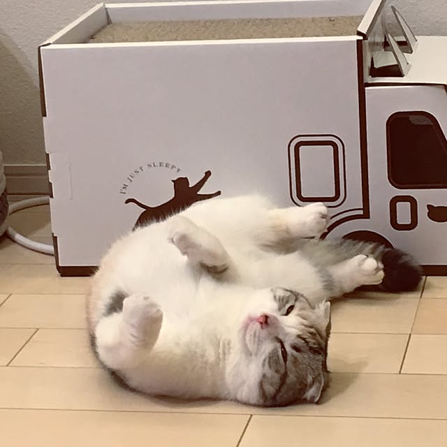 yokkochanさんの実例写真