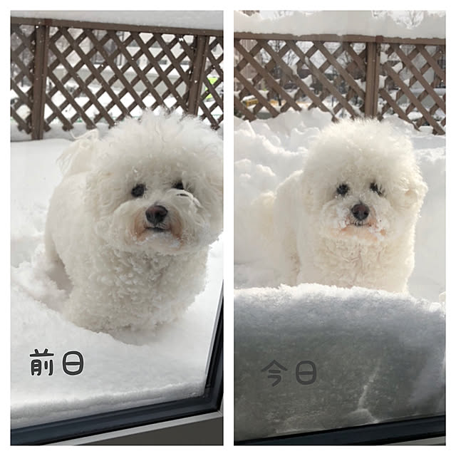 unichanさんの実例写真