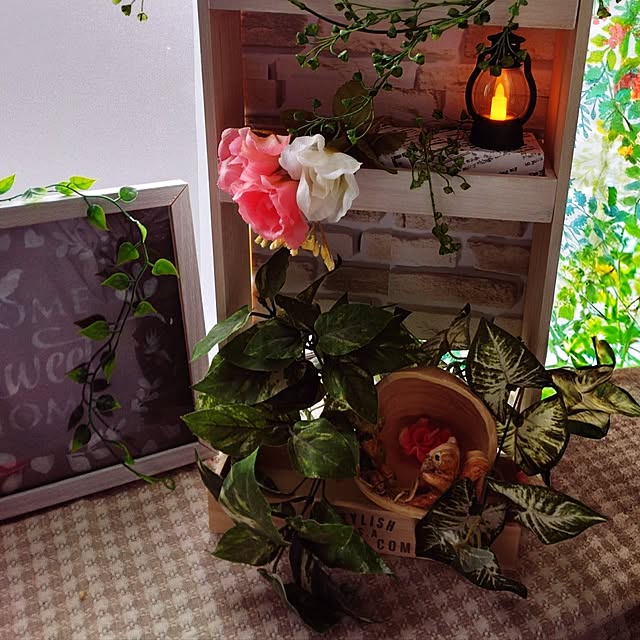 dreamerさんの実例写真