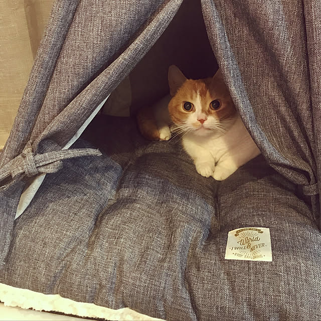 KotarouKunさんの実例写真
