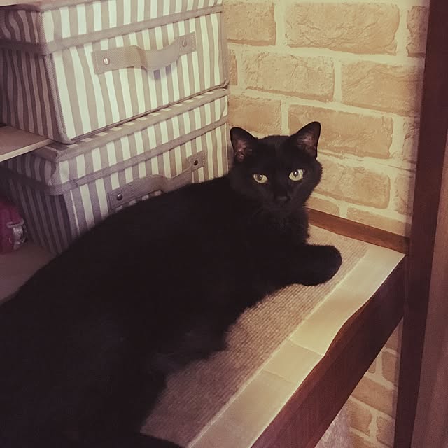NTさんの実例写真