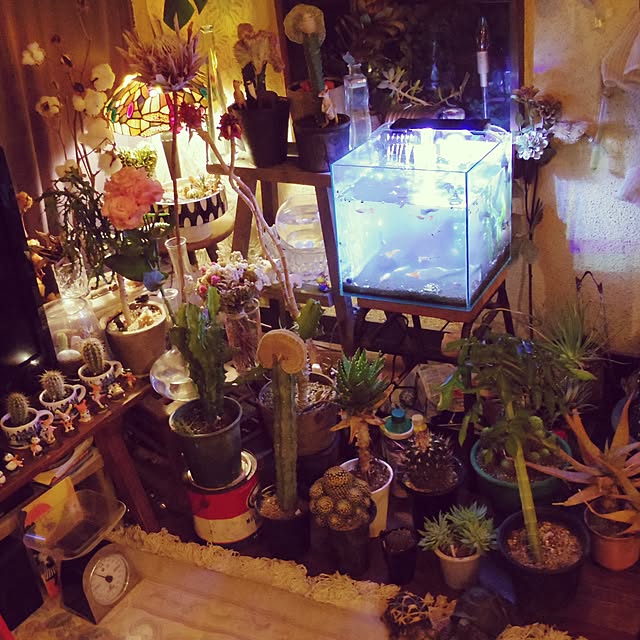 Masahideさんの実例写真