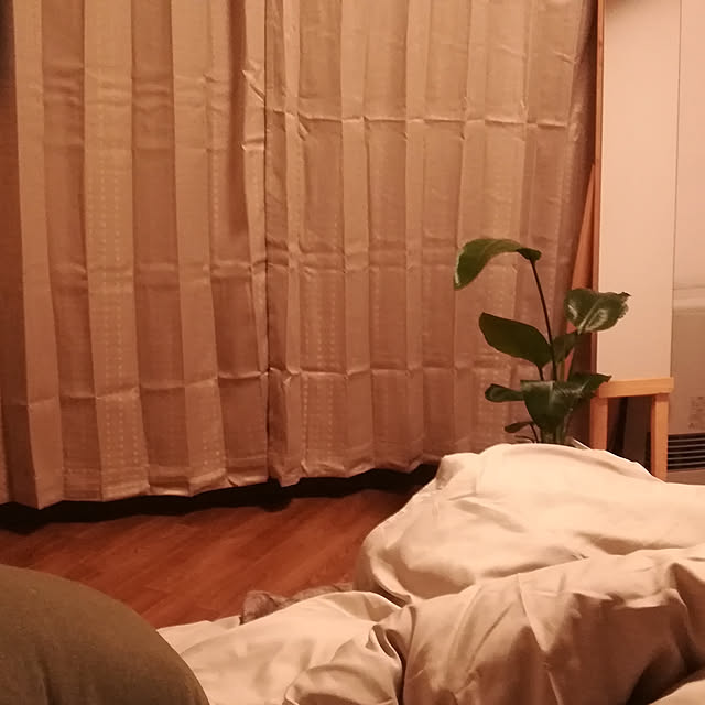 chouchouさんの実例写真