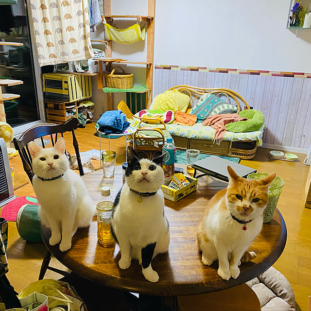 SHIHOさんの実例写真