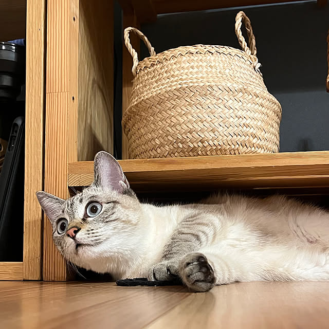 amさんの実例写真