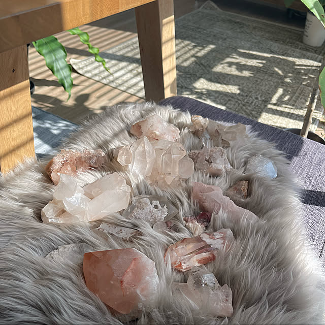 miniさんの実例写真