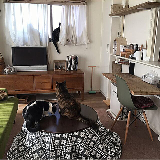mikomaruさんの実例写真