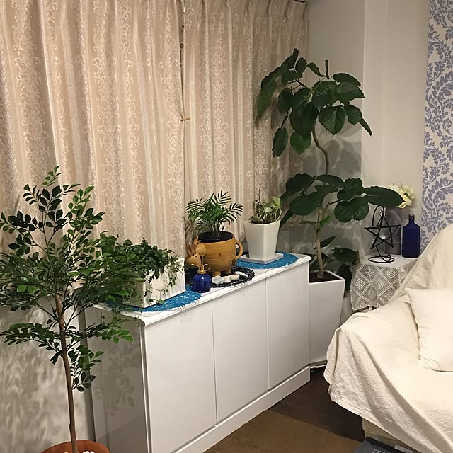 Sakura_hanaさんの実例写真