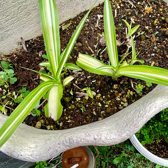 YuuKoさんの部屋