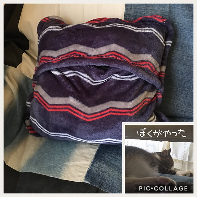 kimikimiさんの実例写真