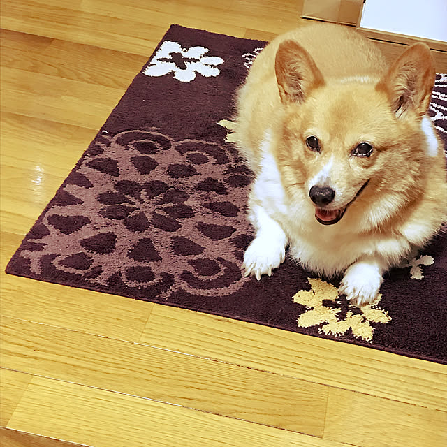 mairan00さんの実例写真