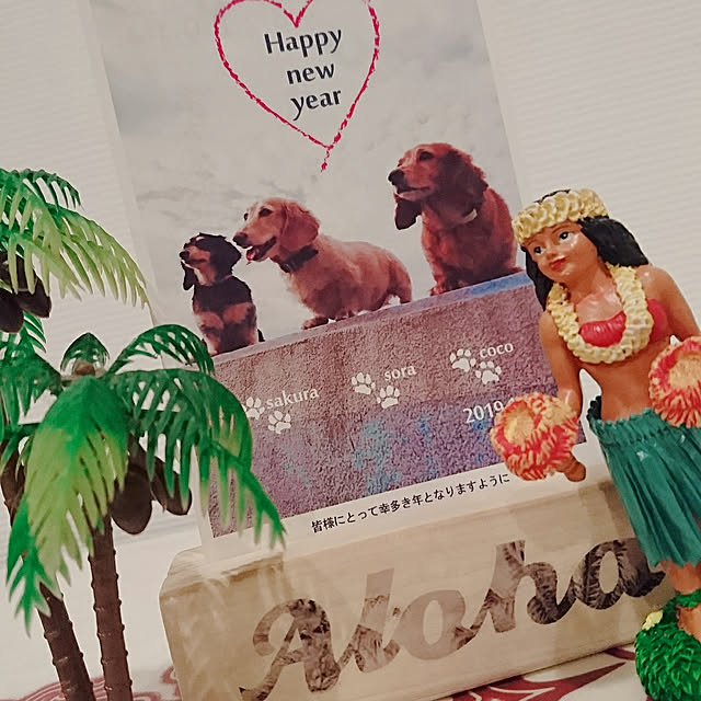 cocosorasakuさんの実例写真