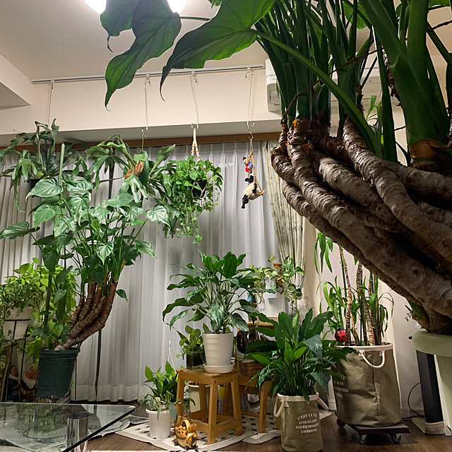 Aqettyさんの部屋
