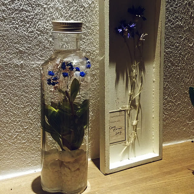sakuraankoさんの実例写真