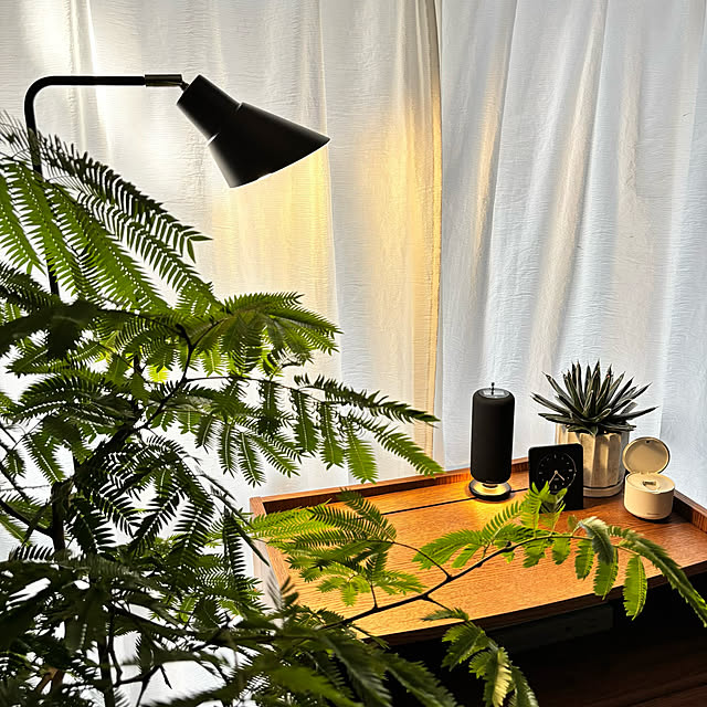 kyoko1124koさんの実例写真