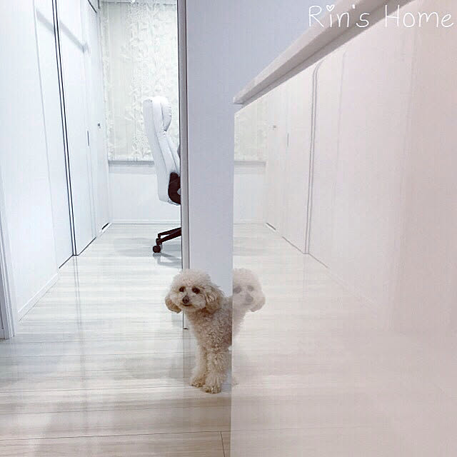 Rinさんの実例写真