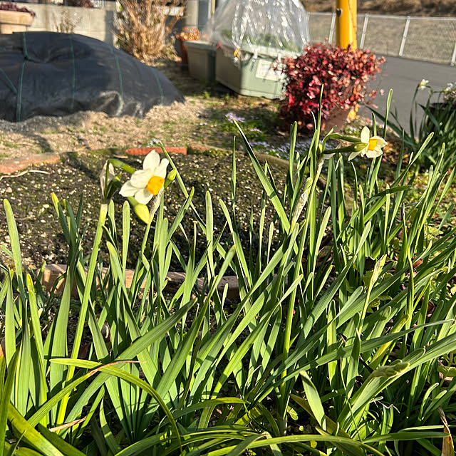 ritsukoさんの部屋