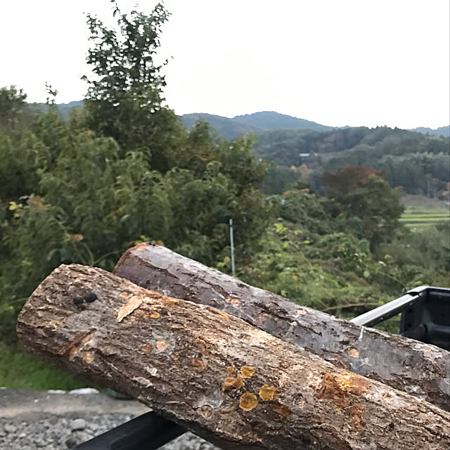 sakurasakuさんの実例写真