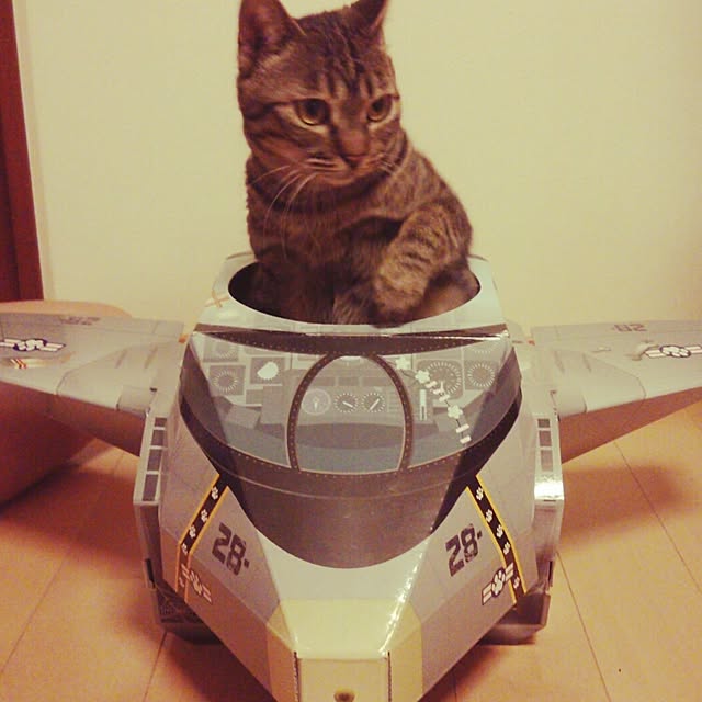 実例写真