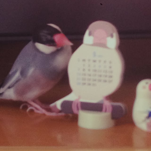 kaoribonさんの実例写真