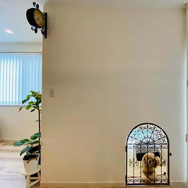 lady_home65さんの実例写真