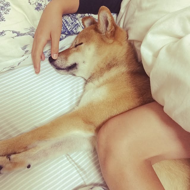 umeさんの実例写真