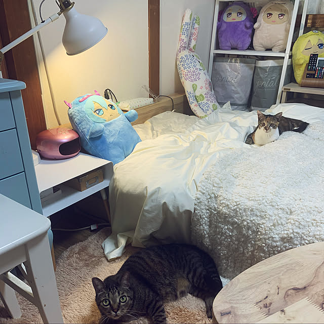 memeさんの実例写真