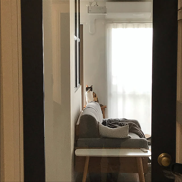 goomayuさんの実例写真