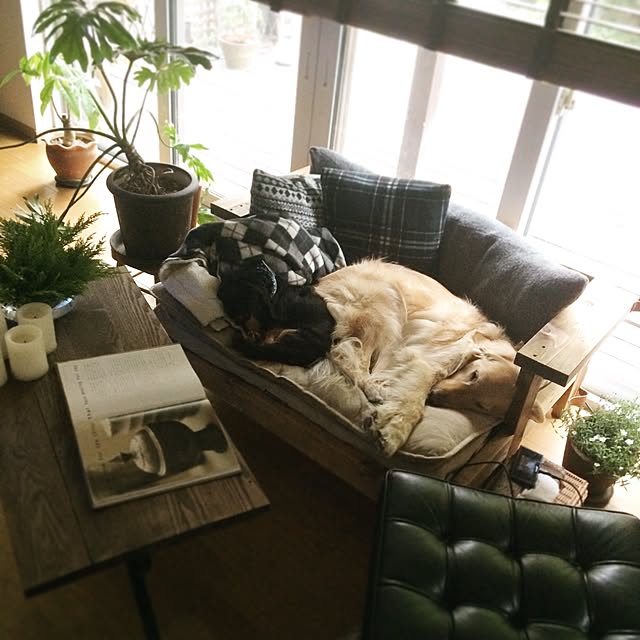 tomowithdogさんの実例写真