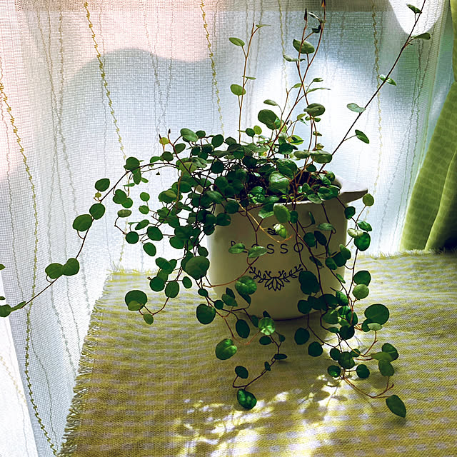 mommyさんの実例写真