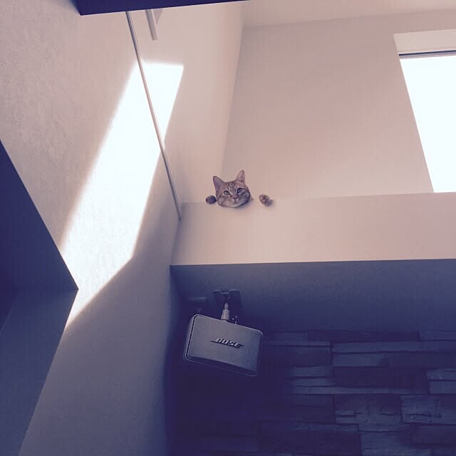 kanaaaaxxxxさんの実例写真