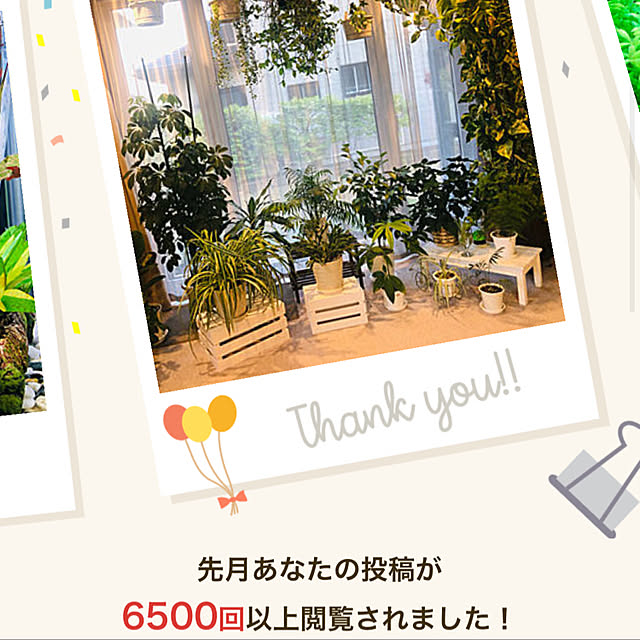 実例写真