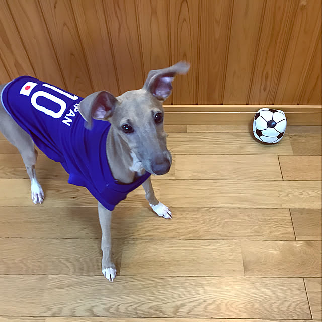 koさんの実例写真