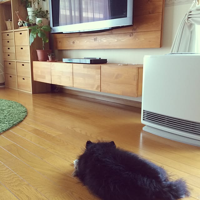 yukaさんの実例写真