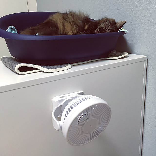 mikomaruさんの実例写真
