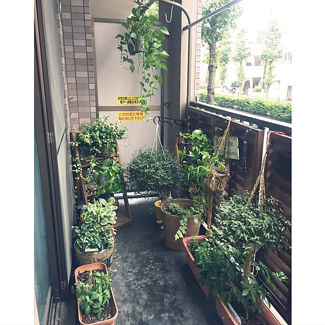 kiyomiさんの実例写真
