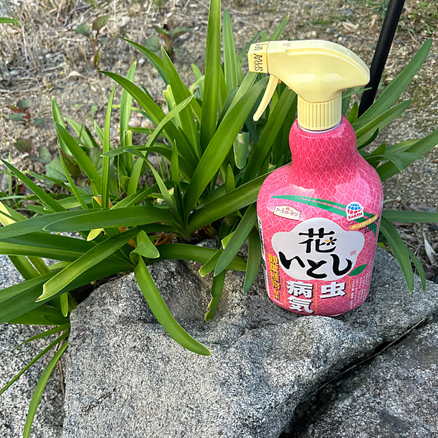 mizuyoさんの実例写真