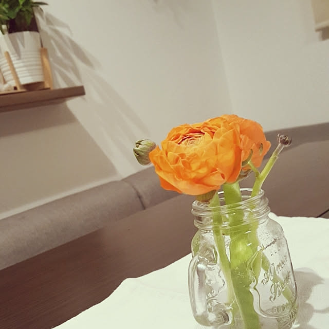 taka519さんの実例写真
