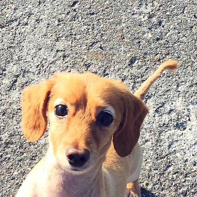 sakuさんの実例写真