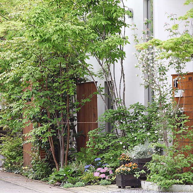 子どものいる暮らし/注文住宅 工務店/注文住宅/ナチュラルインテリア/花のある暮らし...などのインテリア実例 - 2019-04-25 18:25:37