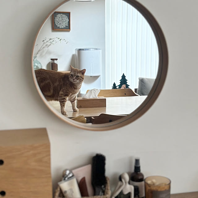 yukiさんの実例写真