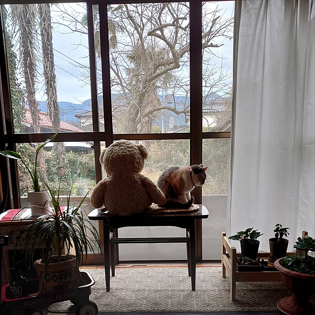 fukuさんの実例写真