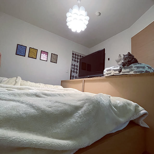 hiyupan88さんの実例写真