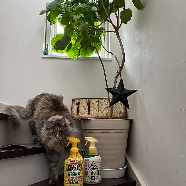 mayumiさんの部屋