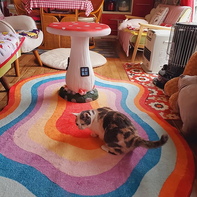 kumutanさんの実例写真