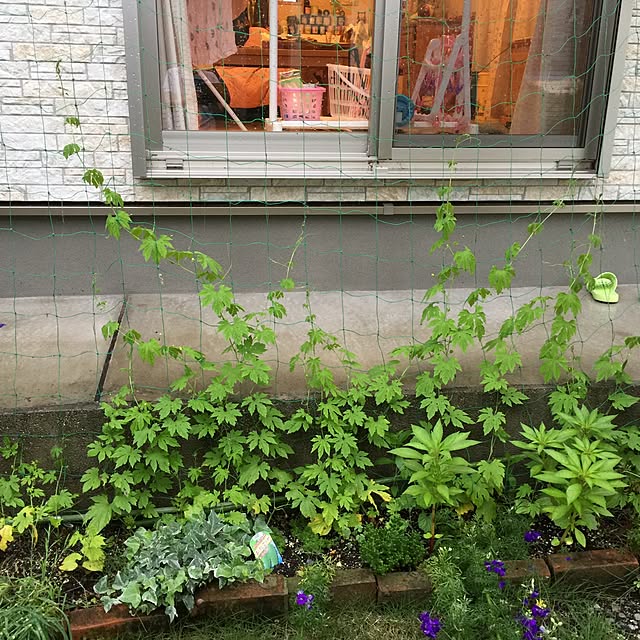 marukoさんの実例写真