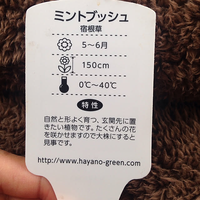 Akikoさんの実例写真
