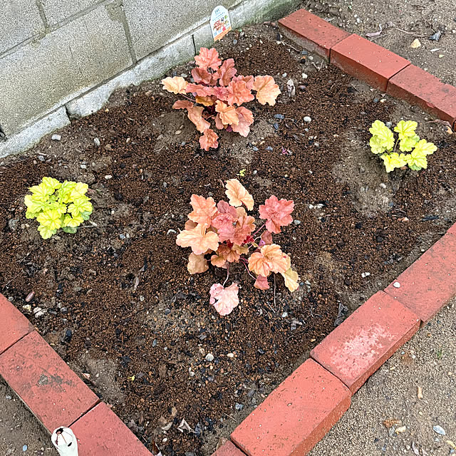 akkeyさんの部屋